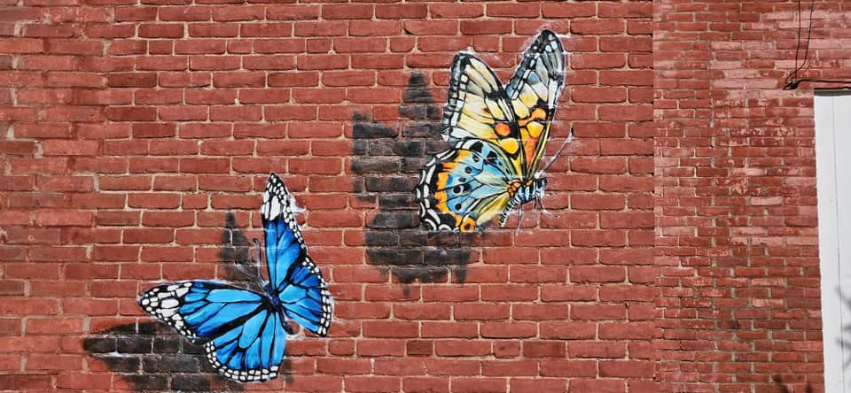 RCHS Butterfly murals