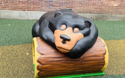 Heard it at School: Meeting a need